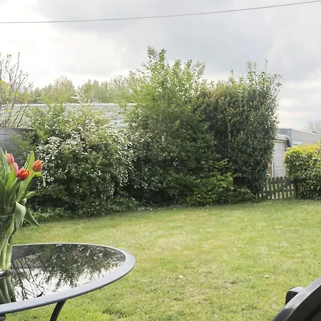 De Hollandsche Tulp *